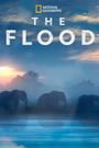 The Flood