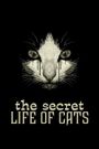 The Secret Life of Cats