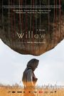 Willow