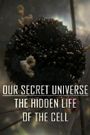 Our Secret Universe: The Hidden Life of the Cell