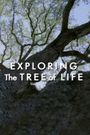 Exploring 'the Tree of Life'