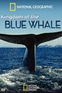 Kingdom of the Blue Whale