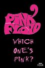 The Pink Floyd Story: Which One's Pink?