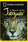 In Search of the Jaguar