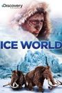 Ice World