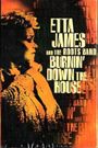 Etta James and the Roots Band: Burnin' Down the House