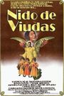 Nido de viudas