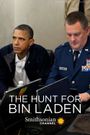 The Hunt for Bin Laden