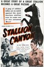 Stallion Canyon