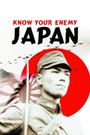 Know Your Enemy - Japan