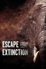 Escape from Extinction