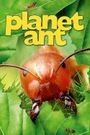 Planet Ant: Life Inside the Colony