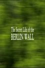 The Secret Life of the Berlin Wall