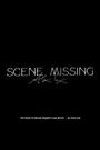 Scene Missing