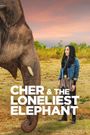 Cher and the Loneliest Elephant