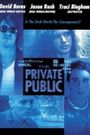 The Private Public