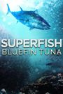 Superfish Bluefin Tuna