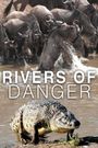 Rivers of Danger