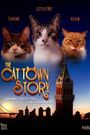 The Cat Town Story