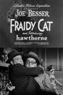 'Fraidy Cat