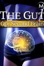 The Gut: Our Second Brain