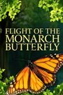 Flight of the Monarch Butterfly 3D