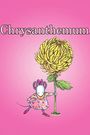 Chrysanthemum