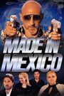 Made in Mexico