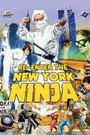 Re-Enter the New York Ninja