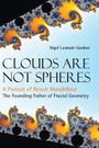 Clouds are not Spheres