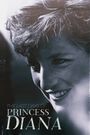 The Last Days of Princess Diana