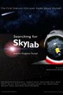 Searching for Skylab