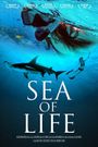 Sea of Life