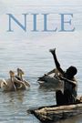 The Nile