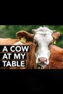 A Cow at My Table