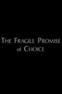 The Fragile Promise of Choice: Abortion in the United States Today