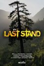 The Last Stand