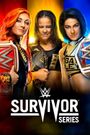 WWE Survivor Series