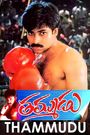 Thammudu