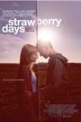 Strawberry Days