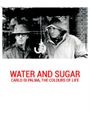 Water and Sugar: Carlo Di Palma, the Colours of Life