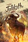 Jallikattu