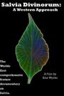 Salvia Divinorum: A Western Approach