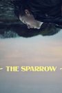 The Sparrow