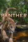 Path of the Panther