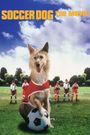 Soccer Dog: The Movie