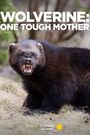 Wolverine: One Tough Mother