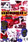 Underground Inc: The Rise & Fall of Alternative Rock