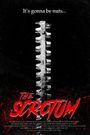 The Scrotum