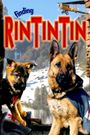 Finding Rin Tin Tin